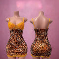 Leopard Print Dress