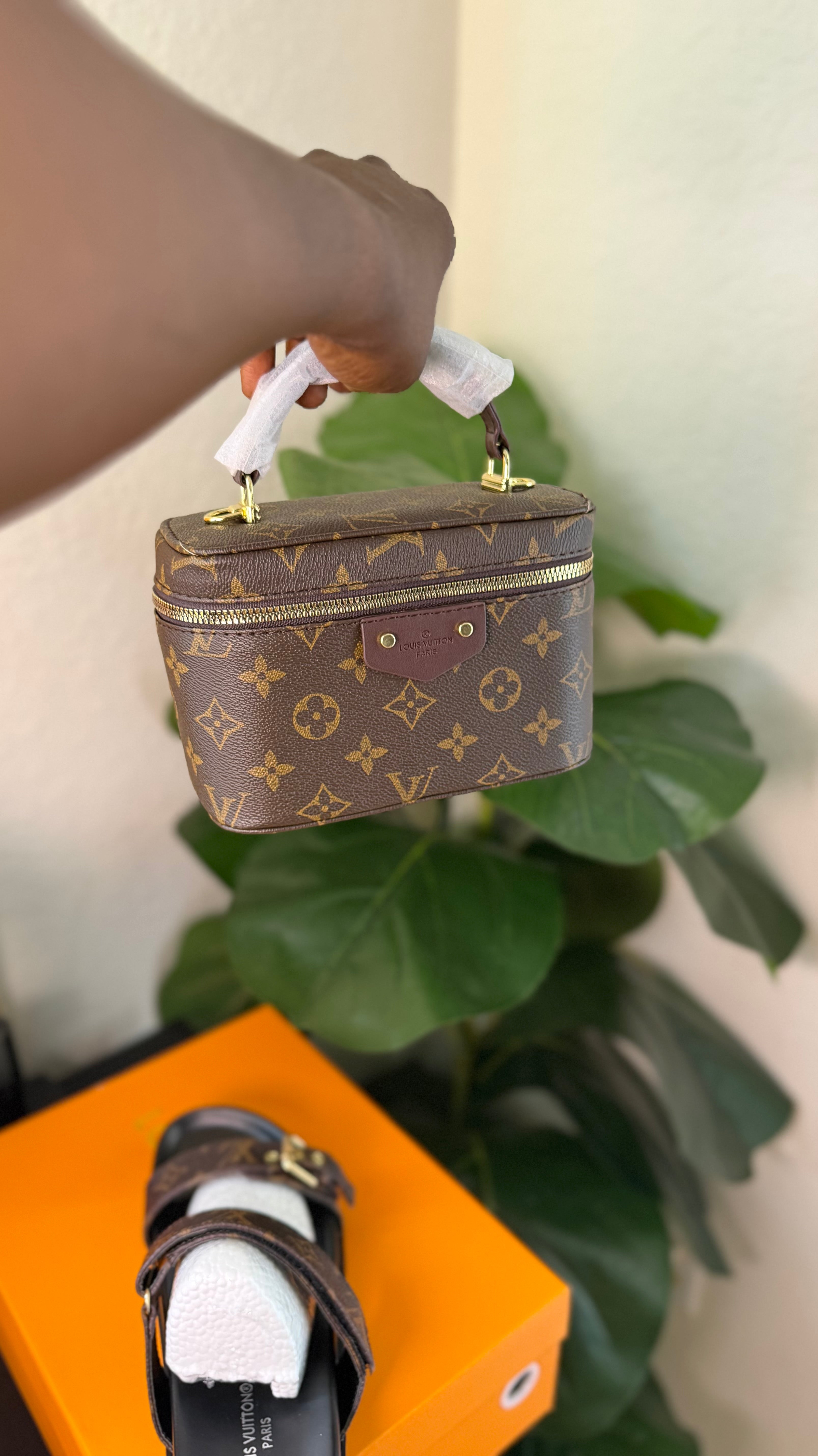Mini LV luxury bag