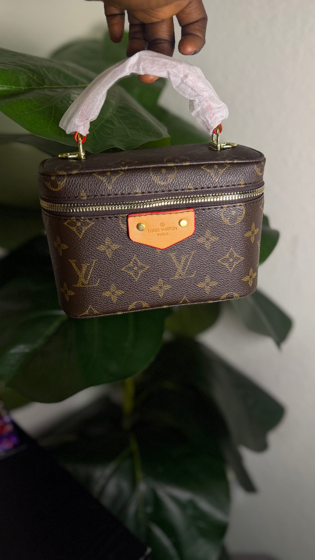 Mini LV luxury bag