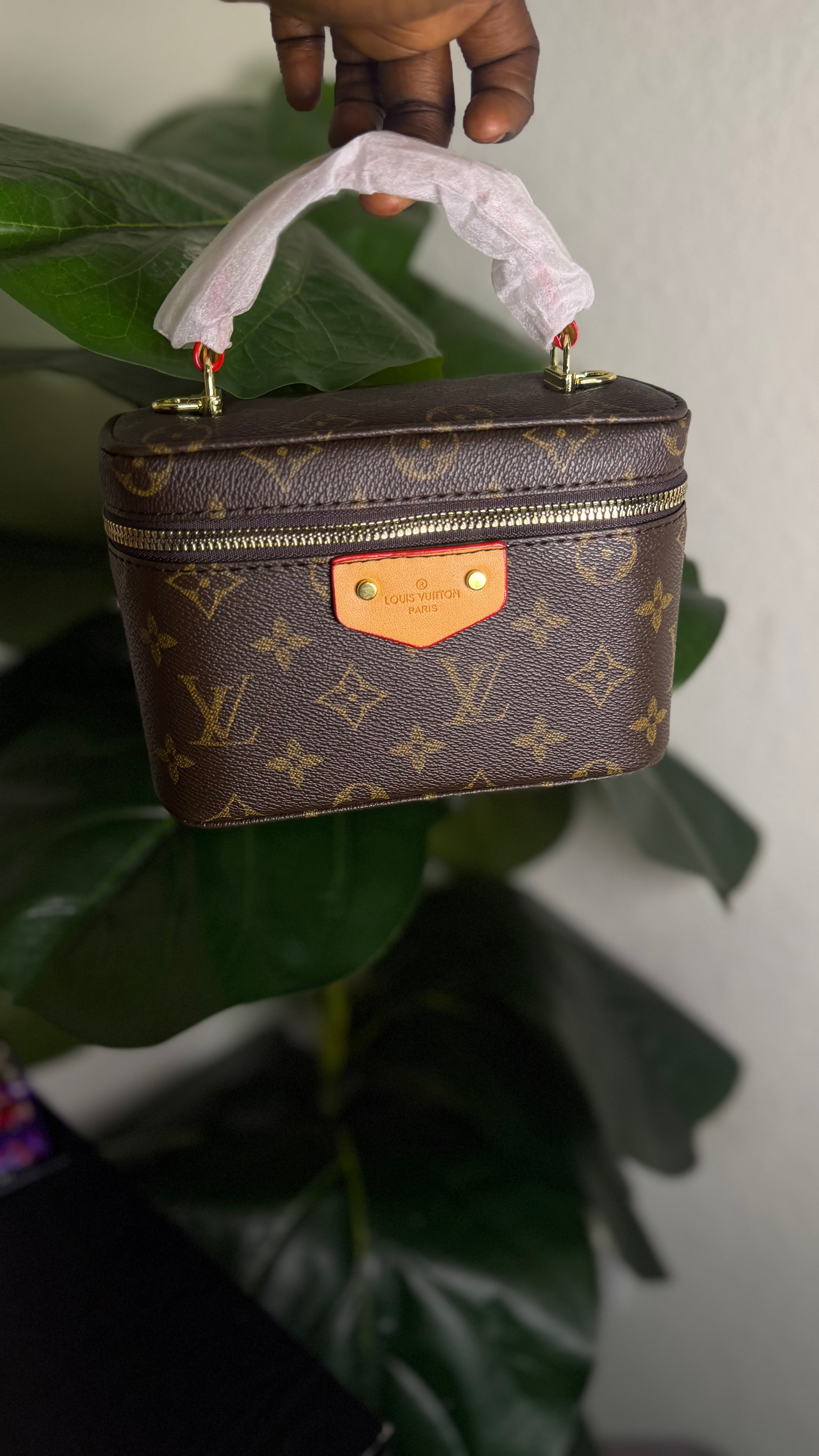 Mini LV luxury bag