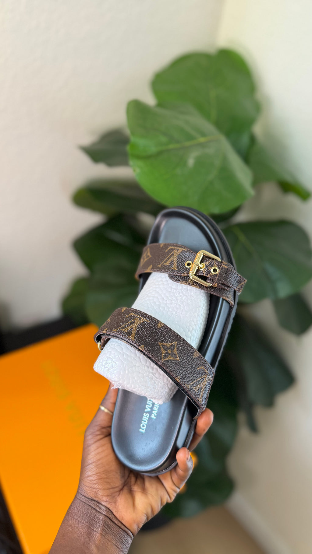 LV slide