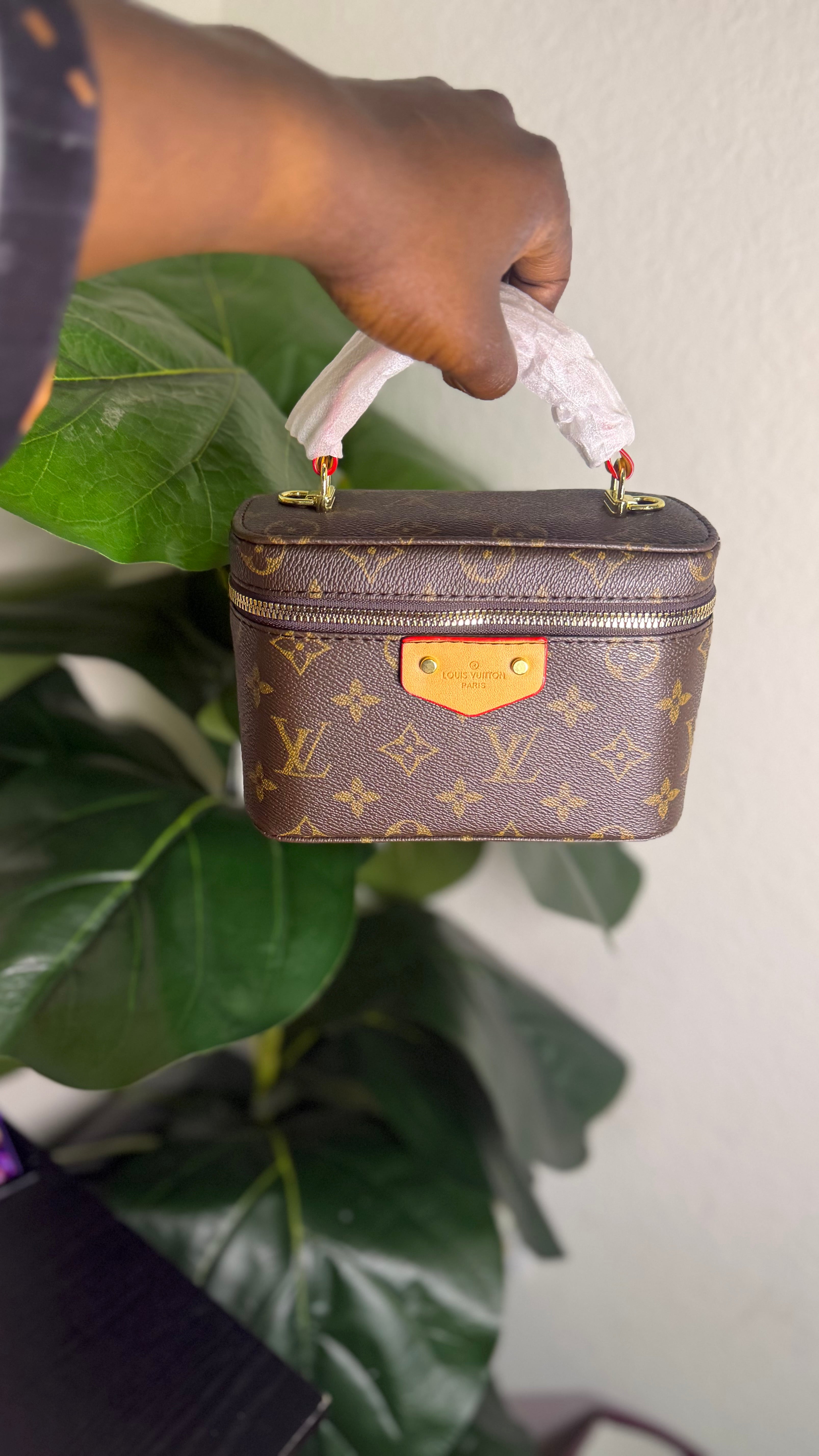 Mini LV luxury bag