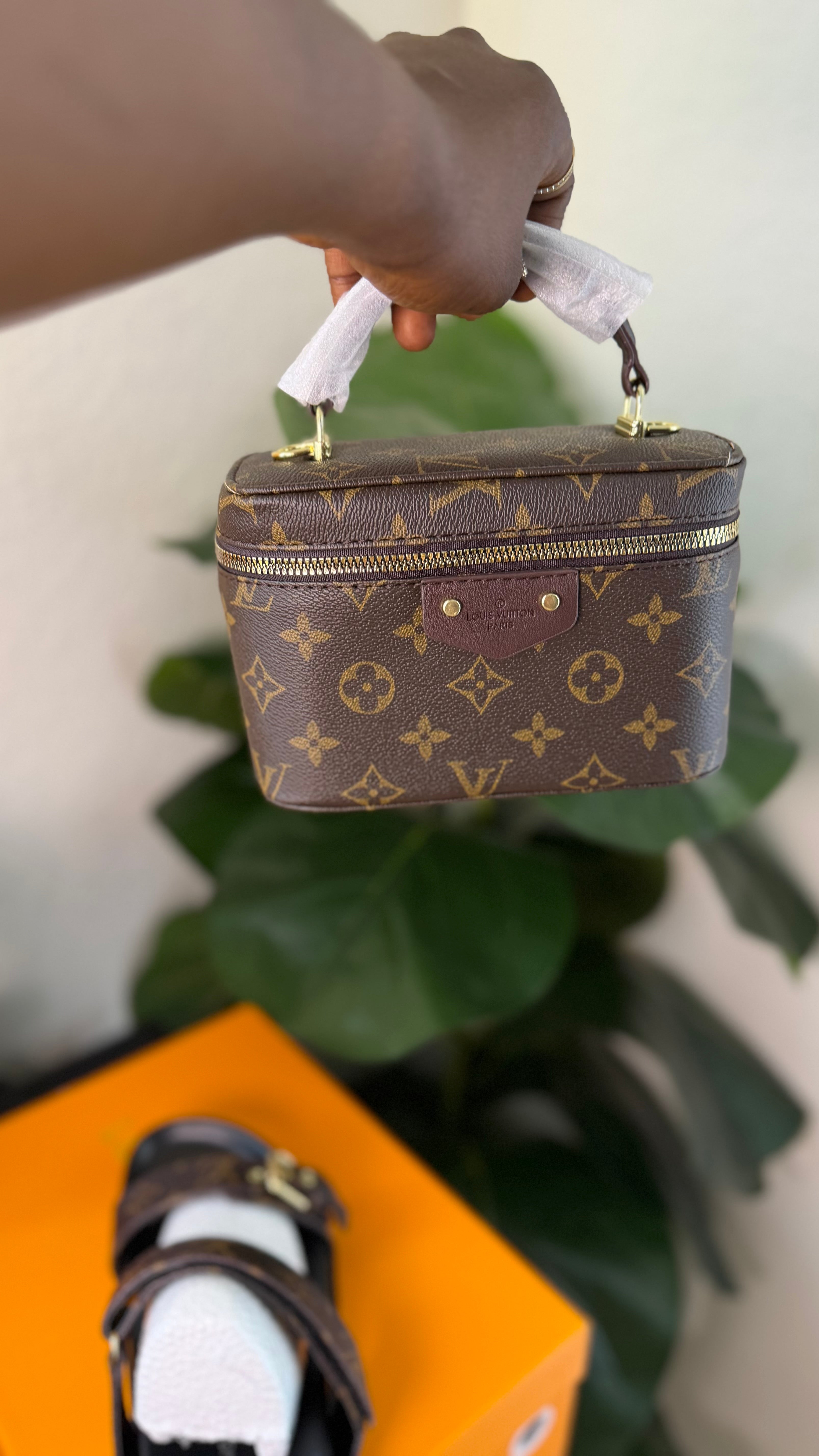 Mini LV luxury bag