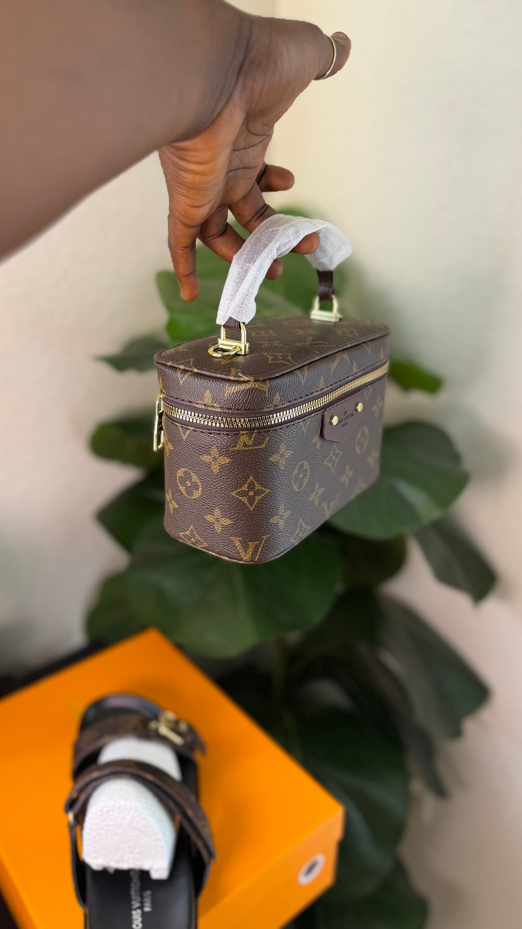 Mini LV luxury bag